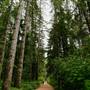 Beaver Lodge Lands