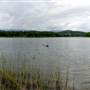 Snakehead Lake