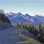 MANNING PARK ( summer )