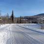 Mud Creek & Mud Lake Forest Service Road & Bridge WINTER