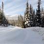 Herb Bilton Way WINTER