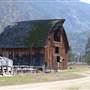 STEVENS FARM