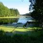 Denman Island Swamp