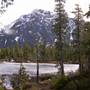 Mount Cain Meadows