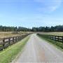 Hilliers Estate Farm