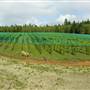 Marshwood Estate Winery (Marshwood Estate Vineyard)