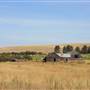 Frolek  Homestead in Grasslands - Stump Lake East