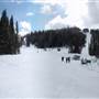 Sun Peaks Resort 112a Mt. Morrisey Platter & Golf Course WINTER