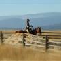 JURA - GRASSLANDS / RANCH