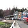 Canoe Cove Marina & Boatyard
