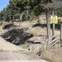 Danish FSR at Highway 97C