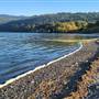 Qualicum National Wildlife Area - Nanoose Bay Unit (Nanoose Beach Road)
