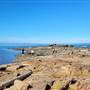 Beachcomber Regional Park -  Headland