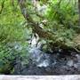 Upper Trails - Stamp River Provincial Park