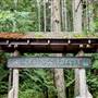 Qualicum Beach Heritage Forest