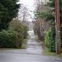 Campbell River Back Alley #6