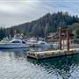 Brown's Bay Marina