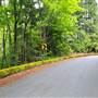 Scotchtown Road Mossy Barrier