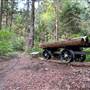 Willingdon Beach Trail
