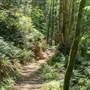Grandon Creek Trail