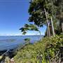 Hidden Cove Lodge