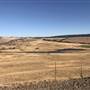 Tullee Lake area Grasslands