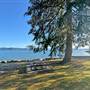 Saltery Bay Provincial Picnic Park