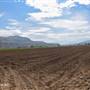 Desert Hills Farm Ranch Fallow