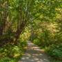 Stanley Park - Lover's Walk