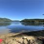 Haslam Lake (old campground)