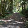 Roger Creek - from Log Trail to Amy & Lolas Trails