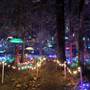 Milner Gardens (Christmas Lights Display)