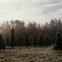 Z & Z Christmas Tree Farm and Urban Forest