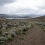 Lac Du Bois Park - Pruden Pass Road