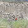 *Spiyu7ullucw Ranch Box Canyon 202 Hiking Bottom to Top