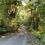 Camp Creina Road
