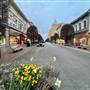 STREET - Government Street