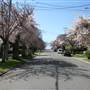 STREETS - Fairfield
