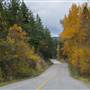 GREEN MT ROAD
