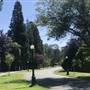 STREET - Uplands