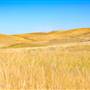 *Frolek Grasslands in Knutsford SUMMER