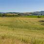 FARMLAND
