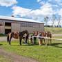 Arnold Ranch Riding Arena and Workshop / Garage