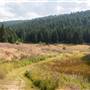 Pineview Valley Park from Python Lake to Forest