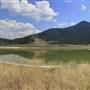 Buse Lake and Forest