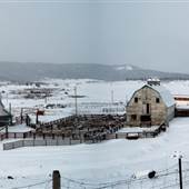 Onward Ranch