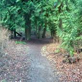 Holland Creek Trail North-end