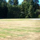 Agriculture Baseball Fields