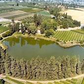 BELGO POND AND VINEYARDS