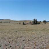 *Upper Nicola Indian Band Chilihitzia Field